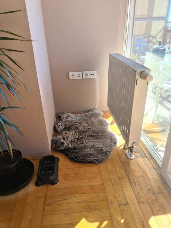 Apartman *Joy* Eszék Kültér fotó